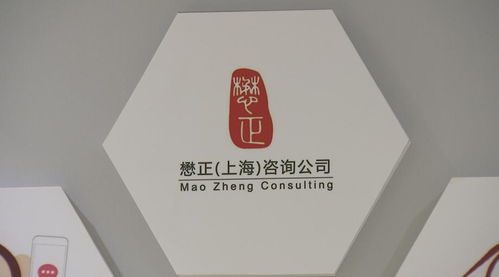 從公職到創(chuàng)業(yè) 崇明青年的無邊風景與技術(shù)咨詢夢